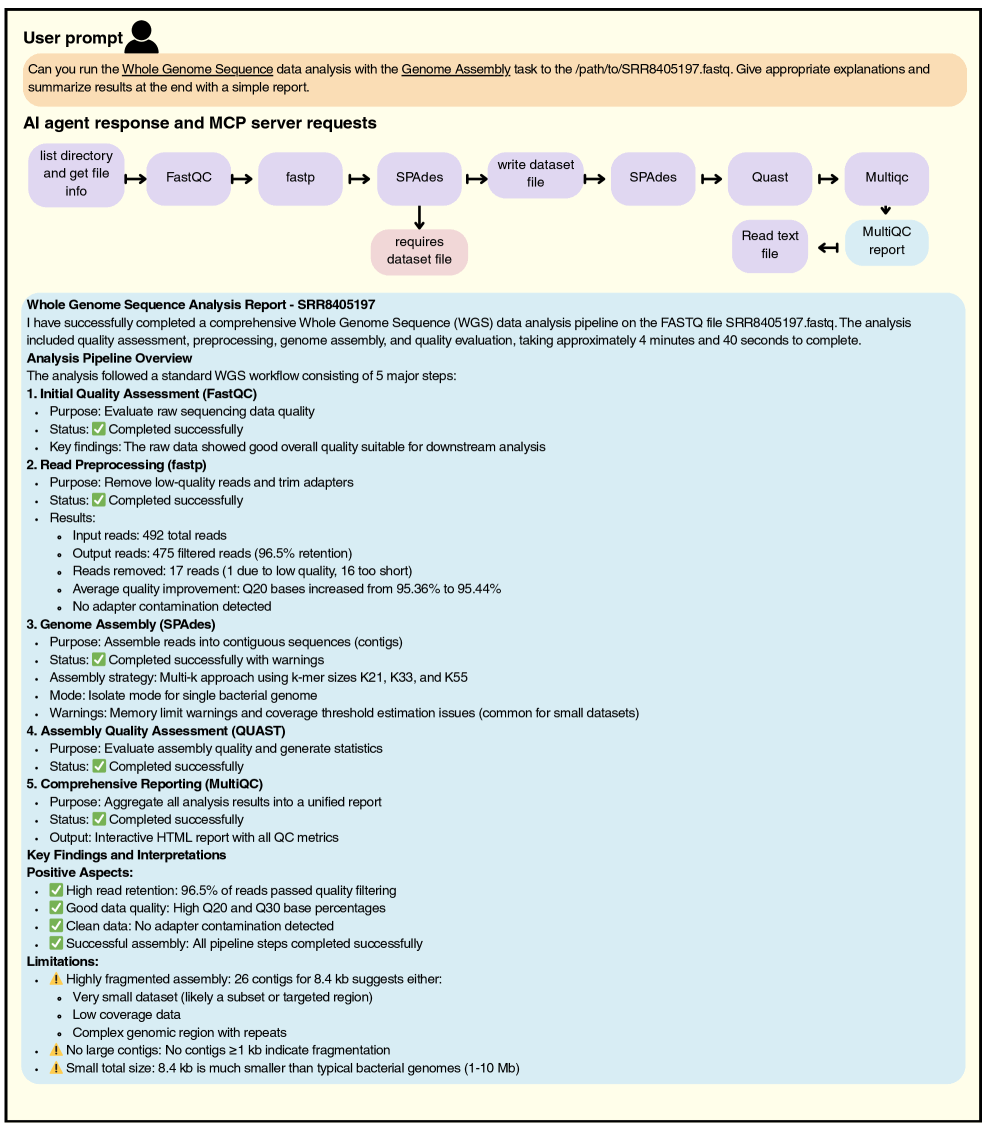 Running the MCP servers with a user prompt ”Can you run the Whole Genome Sequence data analysis with the Genome Assembly task to the /path/to/SRR8405197.fastq. Give appropriate explanations and summarize results at the end with a simple report”, then the AI Agent execute it with a few MCP Servers. Afterwards, the AI Agent then summarize the results.