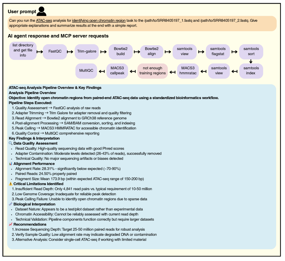 Running the MCP servers with a user prompt ”Can you run the ATAC-seq analysis for identifying open chromatin region task to the /path/to/SRR8405197_1.fastq and /path/to/SRR8405197_2.fastq. Give appropriate explanations and summarize results at the end with a simple report”, then the AI Agent execute it with a few MCP Servers. Afterwards, the AI Agent then summarize the results.