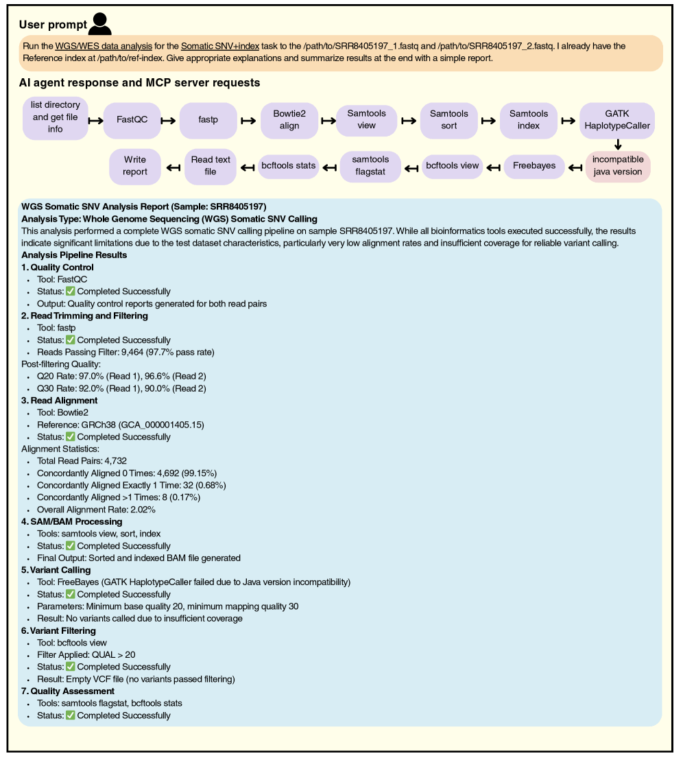 Running the MCP servers with a user prompt ”Run the WGS/WES data analysis for the Somatic SNV+index task to the /path/to/SRR8405197_1.fastq and /path/to/SRR8405197_2.fastq. I already have the Reference index at /path/to/ref-index. Give appropriate explanations and summarize results at the end with a simple report.”, then the AI Agent execute it with a few MCP Servers. Afterwards, the AI Agent then summarize the results.