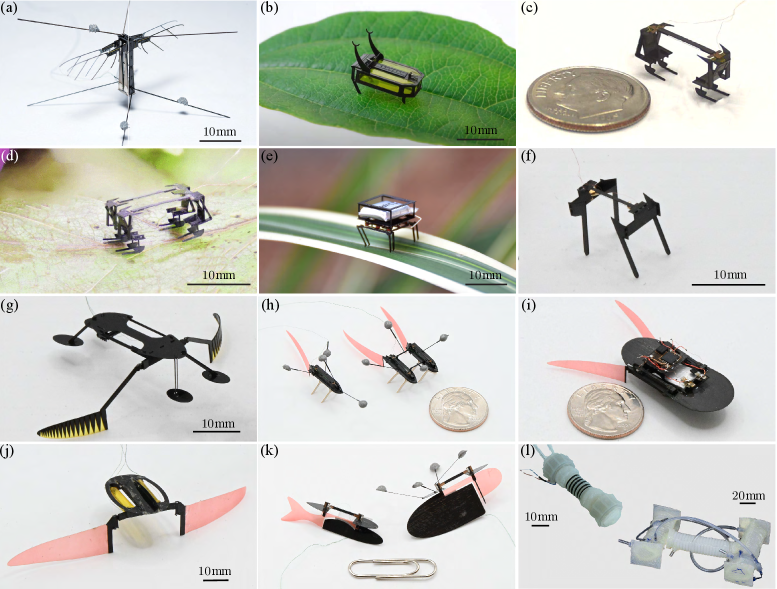 Figure 1:Embodied intelligence in action.All the microrobots presented in this figure were developed by the author and his team at the AMSL, and each exhibits some form of EI at some level in its design.(a)The9595-mg Bee++, which leverages FSI and an ISP-based mechanism in combination with modern nonlinear Lyapunov-based methods, to control its yaw DOF.(b)The8888-mg RoBeetle, an autonomous anisotropic-friction-based crawler mechanically powered by an NiTi–Pt composite catalytic artificial muscle. This muscle uses the flameless catalytic combustion of methanol, enabled by a rough layer of Pt, to thermally excite its core made of NiTi SMA in cycles that produce periodic actuation. The system that controls the catalytic-combustion process and the phase transitions of the SMA material is entirely electronics-free, thus leveraging EI.(c)The SMALLBug, a crawler that uses a high-frequency SMA-based bending actuator to locomote on flat surfaces. In this design, the cyclic bending motion of the driving actuator is transformed by a2Σ2\Sigma-shaped frame into rectilinear locomotion through leveraging anisotropic friction.(d)The SMARTI, a crawler composed of two SMALLBug platforms connected in parallel. This configuration is22D steerable simply by exciting its two driving actuators with phase-shifted PWM voltages, thus leveraging anisotropic friction for functionality and control.(e)The SPARQ, a fully autonomous—from both the power and control perspectives—crawler, which was conceived as an advanced version of the SMARTI.(f)The MiniBug, which, at 10 mg, is the smallest and lightest crawler with onboard actuation ever created. This robot was developed by miniaturizing the actuator and frame of the SMALLBug, and by adopting the legs of the SPARQ.(g)The WaterStrider, a surface swimmer that uses rowing-resembling motion patterns of two paddles and anisotropic drag to propel itself forward.(h)The VLEIBot (left) and VLEIBot+(right) are two robots that use propulsors inspired by anguilliforms to swim forward and steer themselves. These propulsors generate thrust by leveraging FSI as traveling waves are induced by flapping soft passive fins with SMA-based bending actuators.(i)The VLEIBot++, a fully autonomous—from both the power and control perspectives—swimmer, which was conceived as an advanced version of the VLEIBot+.(j)The BILLEBot, a swimmer design that combines the transmission mechanism of the WaterStrider with the traveling-wave-based thrust-generation method of the VLEIBot platform.(k)The old FRISSHBot (left) and new FRISSHBot (right) are two swimmers composed of two plates connected by an SMA-based bending actuator that applies periodic torques—with equal magnitudes and opposite directions—to both of them during operation. These actuation torques induce hydrodynamic reactive torques—generated by aggregated inertial and viscous forces—on the plates that, as a consequence, produce the thrust required for swimming. Specifically, by design, the front plate functions as an anchor and the rear plate as a caudal flapping rigid fin. This flapping fin, through the creation of a couple of vortices during an operation cycle—one clockwise and the other counterclockwise—induces a jet that, by conservation of momentum, propels the robot forward.(l)The pneumatic soft robot on the left can locomote inside pipes and trenches by leveraging pressure-controlled anisotropic friction, using a distributed stretchable artificial skin as the main sensor. The pneumatic soft robot on the right can locomote inside pipes and trenches driven by an entirely electronics-free feedback controller based on neuromorphic mechanical computation, using mechanical tactile and proprioceptive sensors.