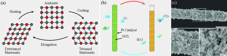 Figure 4:Functionality of the catalytic artificial muscle developed to drive the RoBeetle shown in Fig.1(b).(a)During a full actuation cycle, the material of an SMA wire transitions between three distinct crystal-structure states:detwinned martensite,austenite, andtwinned martensiteby the sequential application of heat, allowance for convective cooling, and application of stress.(b)In the case of the RoBeetle’s muscle, controlled heat is applied through the catalytic combustion of methanol—facilitated by a rough layer of Pt, a multipurpose catalyst—and stress is applied using a CF leaf spring (shown in Fig.5(b)). Accordingly, an actuation cycle starts at the detwinned martensite state—corresponding to the extended state of the wire at room temperature; then, after surpassing the transition temperature of the SMA material, the system transitions to the austenite state—corresponding to the contracted state of the wire; next, after cooling down through free convection and reaching room temperature, the system transitions to the martensite state. The stress applied by the leaf spring to the wire continually detwins the SMA material.(c)–(e)SEM images of the surface of an NiTi-Pt composite wire with a diameter of8787µm. The rough and porous catalytic layer (Pt-black) has a thickness of18.118.1µm. The magnifications of the images are×350{\times}350,×1200{\times}1\hskip 0.86108pt200, and×6500{\times}6\hskip 0.86108pt500; the scale bars indicate distances of100100,3030, and55µm, respectively.