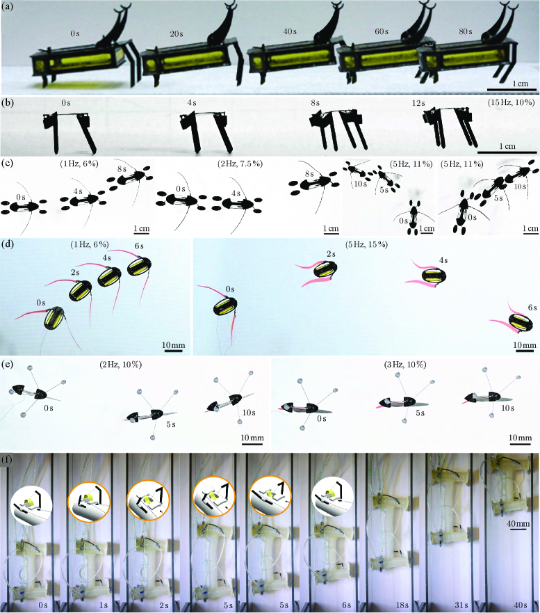 Разнообразие роботизированных систем, от прототипов RoBeetle и MiniBug, ползающих по поверхности, до WaterStrider, BILLEBot и FRISSHBot, демонстрирующих плавание, управляемое широким спектром ШИМ-сигналов, и пневматического робота, ориентирующегося в траншее с помощью нейроморфных вычислений и тактильных датчиков, подтверждает способность к адаптации и эффективности различных конструкций в различных средах.