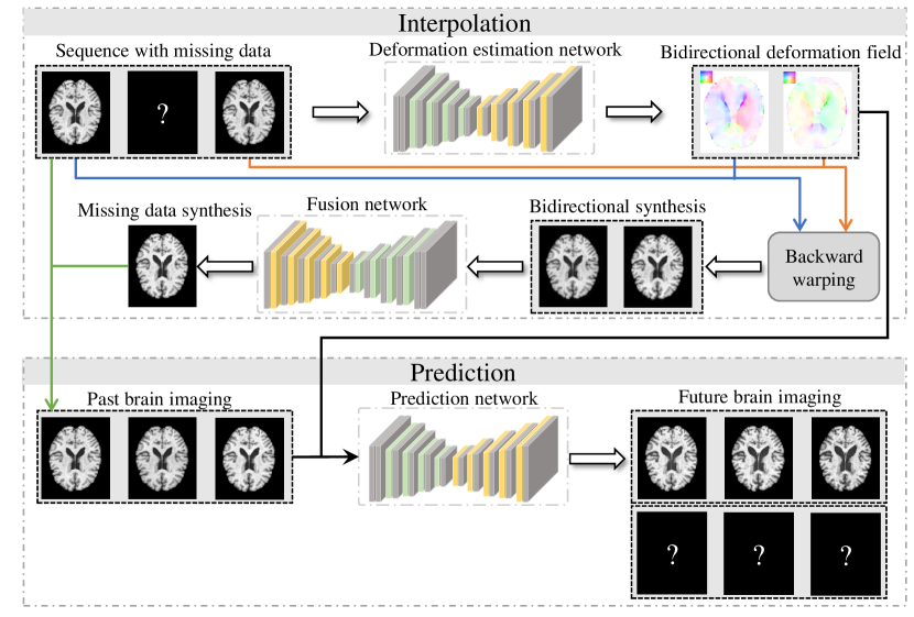 DATGN utilizes temporal interpolation and prediction modules-the former reconstructing missing data via deformation field estimation and interpolation, and the latter generating future brain image sequences.