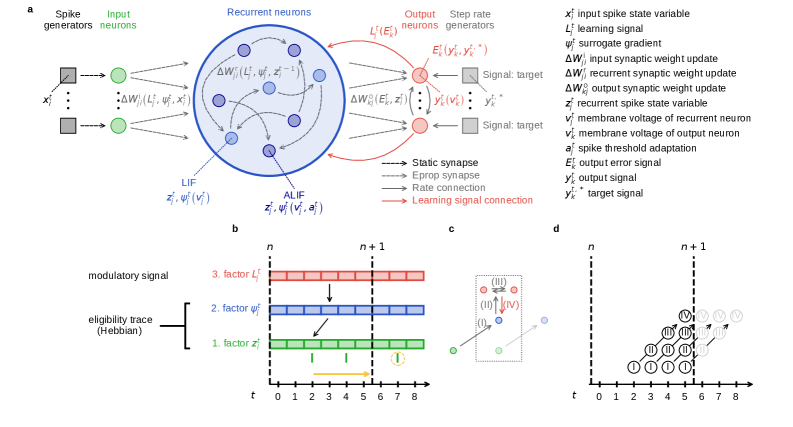 Event-driven backpropagation ($e$-prop) dynamically updates synaptic weights by retrieving archived history following each neural response spike, enabling gradient computation and signal propagation across layers-from input to recurrent and output neurons-as a pipelined process where increasing pipeline depth introduces a growing number of incomplete operations at each update.