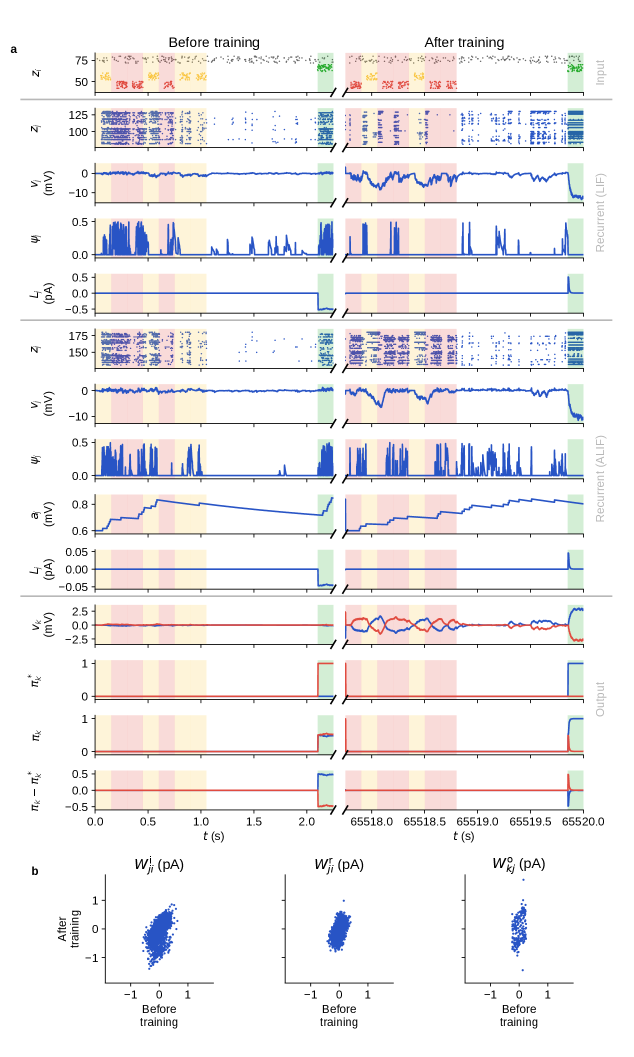 Event-driven e-prop successfully models evidence accumulation by learning to distinguish between left and right cue populations (yellow and red spikes) and indicating decision-making through a distinct neuronal population (green spikes), as demonstrated by changes in network weights following training.