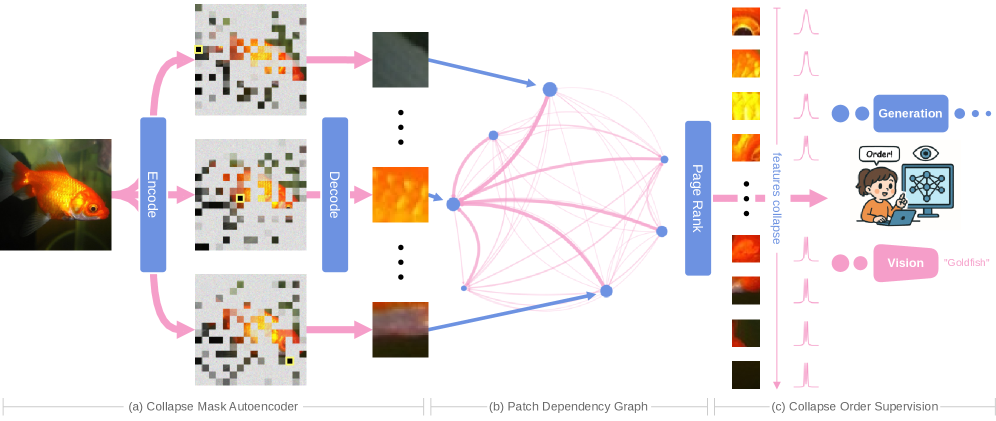 В данном конвейере, для реконструкции изображения, энкодер CoMAE выбирает наиболее значимые участки, маскируя незначимые усиленным шумом, а полученные веса зависимостей между участками используются для определения порядка их обработки на основе PageRank, что позволяет эффективно контролировать генерацию и классификацию изображений.