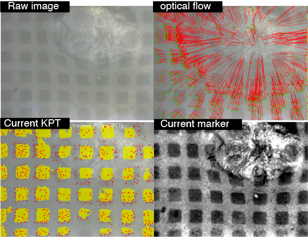 Несмотря на значительную деформацию и визуальную неразличимость маркеров в области контакта, отслеживание смещения по касательной остается стабильным при контакте с клубникой.