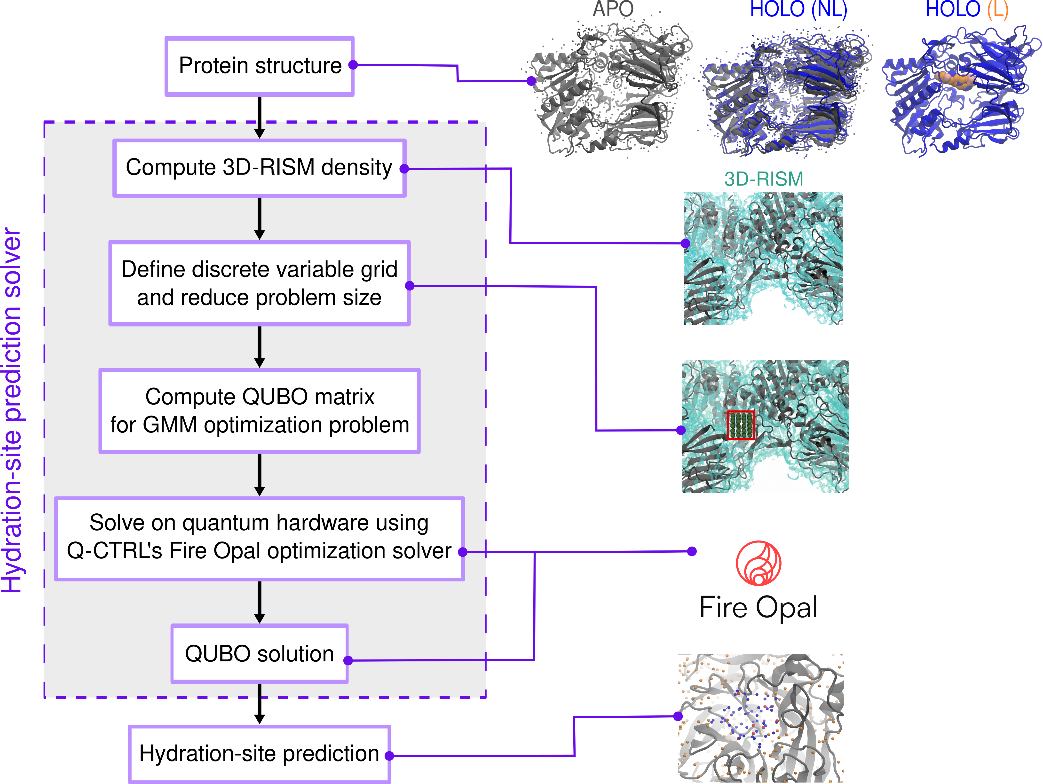 Преобразуя трехмерную плотность воды, полученную методом 3D-RISM, в двоичную сетку, предлагаемый подход формирует матрицу QUBO, оптимизируя которую с помощью гибридного квантового алгоритма, можно определить наиболее вероятные координаты стабильных молекул воды внутри белковой структуры, что подтверждается анализом апо-, голо- и голо-структур с лигандом.