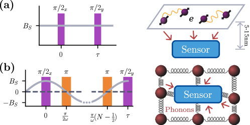 Использование динамических развязывающих импульсов в протоколе Рамсея позволяет увеличить время когерентности T₂* в условиях переменного магнитного поля, что делает фононные эффекты значимыми для магнитометрии с мелкими NV-центрами, в то время как неспаренные электроны на поверхности алмаза являются основным источником шума.