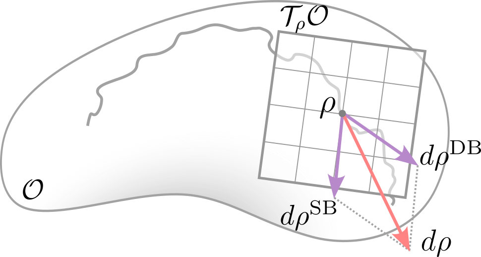 Эволюция Гамильтониана, представленная в данной работе, разворачивается на унитарной орбите оператора плотности, где приращение оператора плотности в касательном пространстве раскладывается на две составляющие - вклад от односкобочного Гамильтониана $d\rho^{\text{SB}}=-i[dH\_{t}^{\text{SB}},\rho\_{t}]$ и вклад от двускобочного Гамильтониана $d\rho^{\text{DB}}=[[dH\_{t}^{\text{DB}},\rho\_{t}],\rho\_{t}]$, демонстрируя, как эти компоненты совместно определяют динамику системы.