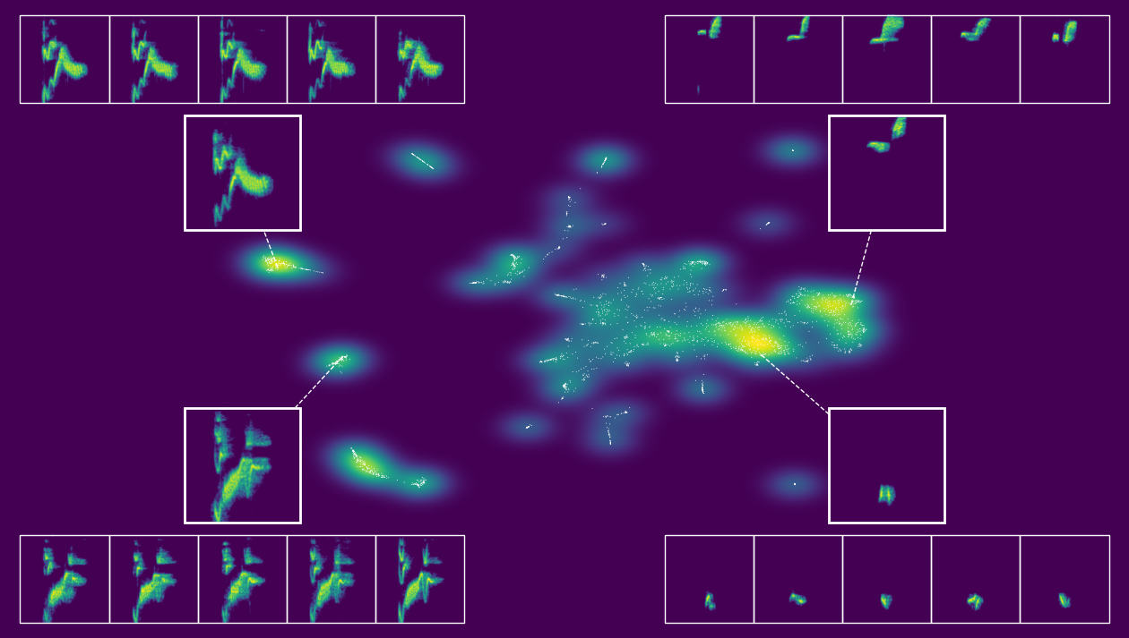 The latent space of Cassin’s vireo syllables. The plot visualizes the syllables in a 2D latent space produced by applying PaCMAP to the latent features from a variational autoencoder, with representative spectrograms overlaid.