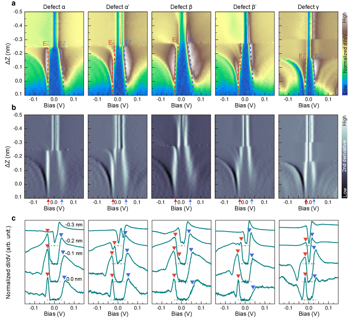 Systematic measurements of tantalum vacancy defects reveal a consistent evolution of in-gap states-shifting alongside excitonic gap edges-across different defect types, confirming their excitonic origin, though the emergence of an additional in-gap state within the pseudogap of defect α suggests a potential link to excitonic fluctuations or preformed excitons requiring further investigation.