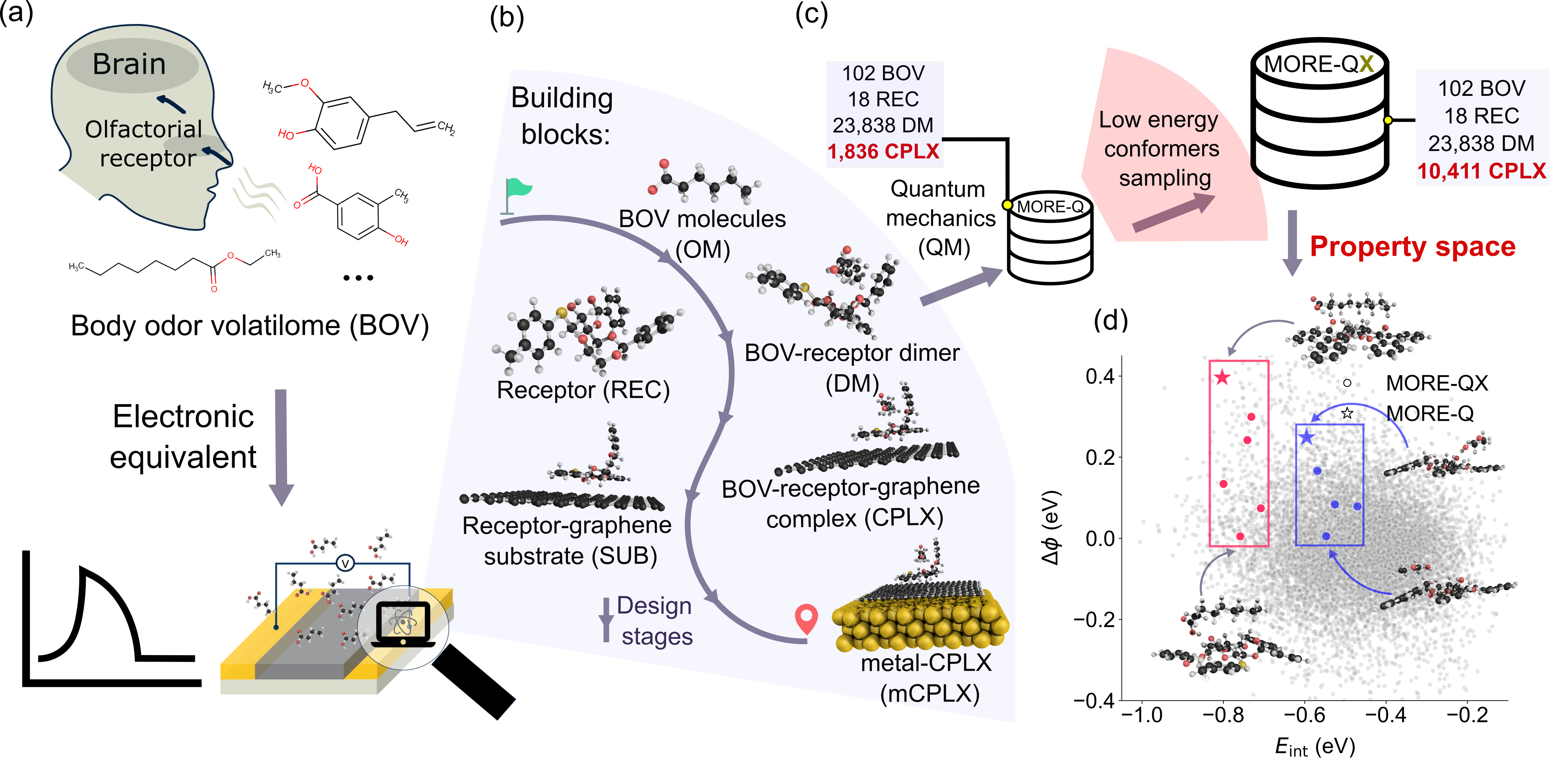 Набор данных MORE-QX, расширенный на основе квантово-механического моделирования, представляет собой электронный эквивалент обонятельной системы, состоящий из молекул-одоррантов и молекулярных рецепторов, и предназначен для создания биоэлектронных носов, способных обнаруживать сложные органические молекулы, при этом расширение набора данных достигается за счет учета различных низкоэнергетических конформаций молекулярных комплексов, что позволяет исследовать широкий спектр квантово-механических свойств и оптимизировать чувствительность сенсора.
