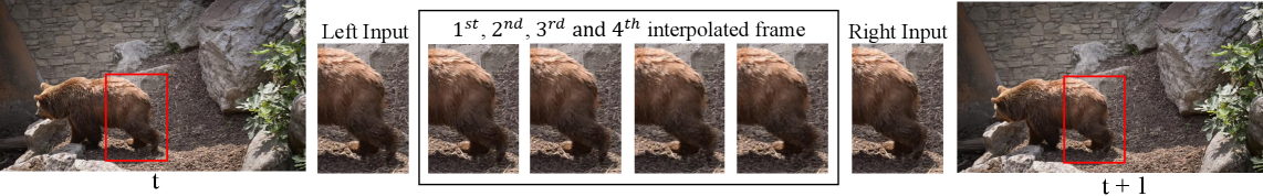 Предложенный метод интерполяции кадров позволяет генерировать плавные промежуточные кадры между ключевыми, сохраняя детализацию текстур (особенно шерсти, выделенные красными рамками) и обеспечивая естественность движения без артефактов, благодаря использованию кубических сплайнов Эрмита с регуляризацией кривизны для достижения <span class="katex-eq" data-katex-display="false">C^1</span>-гладкости траекторий.