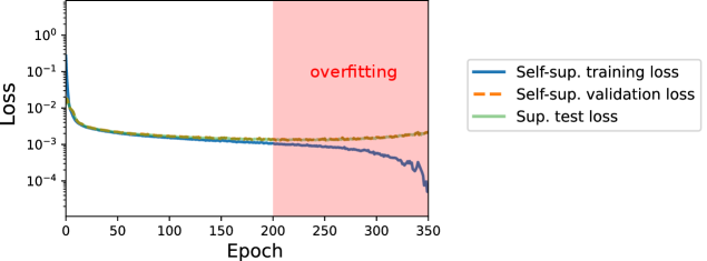 Line plot showing self-supervised training and validation, and supervised test loss versus epochs (0 to 350) on a logarithmic scale. The y-axis represents loss values ($10^{0}$ to $10^{4}$). The blue solid line represents self-supervised training loss, the orange dashed line represents self-supervised validation loss, and the green line represents supervised test loss. Initially, all losses decrease and overlap. Around epoch 200, validation and test losses flatten while training loss continues to decrease, indicating overfitting. The region after epoch 200 is shaded red with the label ‘‘overfitting’’.