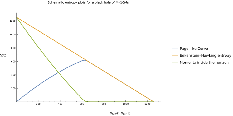 The relationship between a Page-like curve and Bekenstein-Hawking entropy-illustrated by their proportional correspondence-validates assumptions regarding horizon momentum content, suggesting an inherent connection between information and the physical properties of event horizons.