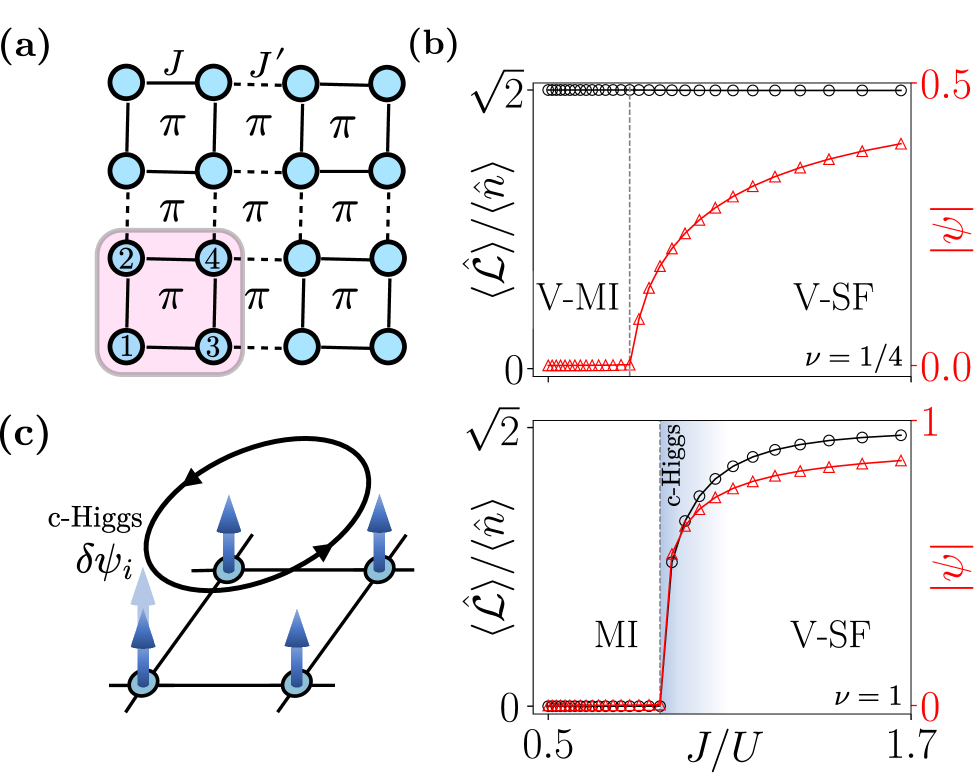 A theoretical model of bosons on a lattice-subject to dimerized hopping and π flux-reveals phase transitions between superfluid and Mott insulating states, and demonstrates the emergence of chiral Higgs excitations-characterized by finite loop currents-as a function of interaction strength and lattice geometry.