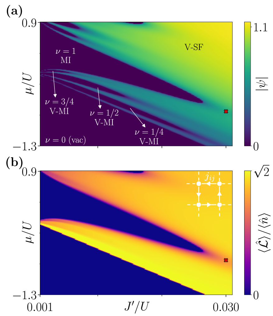 The phase diagram for <span class="katex-eq" data-katex-display="false">J'/J = 0.03</span> of the 2D Bose-Hubbard model, calculated using the cluster Gutzwiller approximation, reveals distinct Mott insulator (MI), vortex Mott insulator (V-MI), and vortex superfluid (V-SF) phases characterized by the superfluid order parameter and loop current per particle, with the V-MI phase exhibiting non-zero loop currents at fractional fillings.