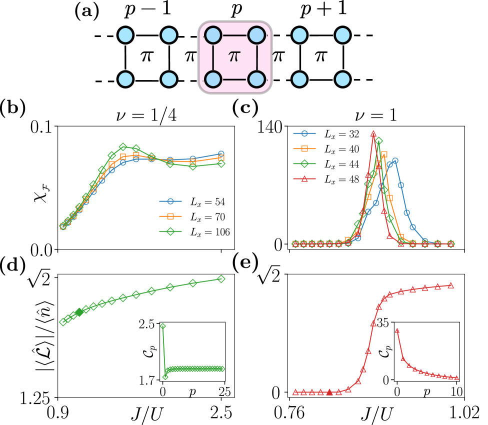 Density matrix renormalization group (DMRG) simulations of a spin ladder with <span class="katex-eq" data-katex-display="false">J^{\prime}/J=0.1</span> reveal a phase transition from a V-SF to a Mott insulator state, evidenced by growing fidelity susceptibilities and a drop in loop current per particle, particularly for <span class="katex-eq" data-katex-display="false">ν=1</span> and observed through the <span class="katex-eq" data-katex-display="false">C_p</span> correlator.