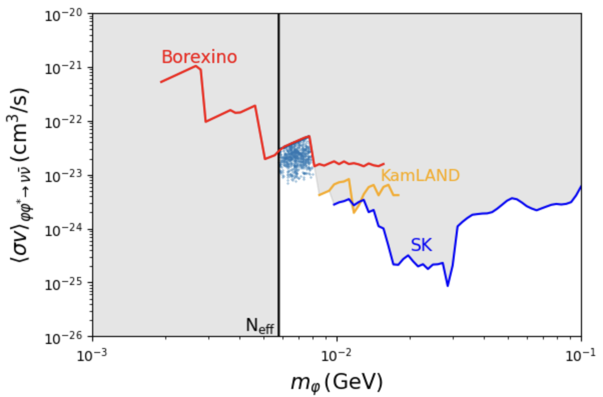 Анализ параметров пространства показывает области, удовлетворяющие условиям реликвитной плотности и саморассеяния, и согласующиеся с существующими космологическими, астрофизическими и наземными ограничениями, при скорости рассеяния частиц <span class="katex-eq" data-katex-display="false">v_0 \sim eq 400 \, \mathrm{km/s}</span> и нижнему пределу массы <span class="katex-eq" data-katex-display="false">m \geq 5.8 \, \mathrm{MeV}</span>, полученному из ограничений на <span class="katex-eq" data-katex-display="false">N_{eff}</span>.