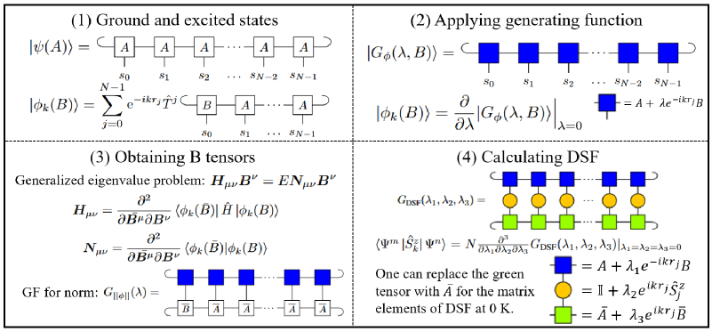 Алгоритм строит возбужденные состояния квантовой системы, используя матрицу переноса (MPS) с периодическими граничными условиями, где введение тензора возмущения позволяет получить состояния Блоха с заданным волновым числом, а последующее дифференцирование обобщенной матрицы переноса по параметру и его комплексно сопряженному позволяет определить тензор возмущения из обобщенного собственного уравнения, обеспечивая ортогональность и требуя вычислений только для кет-слоя, при этом вычисление матричных элементов требует трех производных по параметрам, количество которых сокращается до двух при нулевой температуре, а применение лоренцевского уширения дает окончательные результаты динамической структуры.