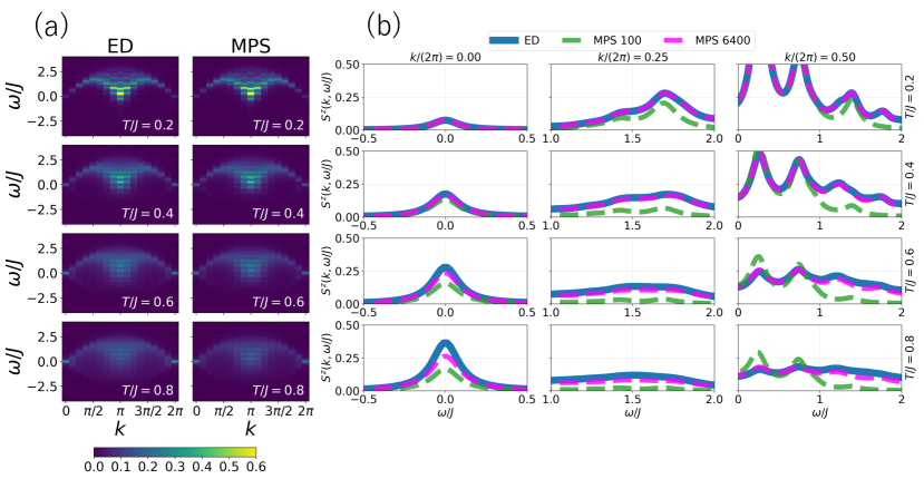 Сравнение результатов, полученных методами точного диагонализирования (ED) и GFMPS, показывает динамическую восприимчивость (DSF) цепочки Гейзенберга со спином <span class="katex-eq" data-katex-display="false">S=1/2</span> и <span class="katex-eq" data-katex-display="false">N=16</span> при температурах <span class="katex-eq" data-katex-display="false">T/J=0.2</span>, <span class="katex-eq" data-katex-display="false">0.4</span>, <span class="katex-eq" data-katex-display="false">0.6</span> и <span class="katex-eq" data-katex-display="false">0.8</span> (представленных на контурных картах и разрезах при фиксированных волновых числах <span class="katex-eq" data-katex-display="false">k/2\pi=0</span>, <span class="katex-eq" data-katex-display="false">0.25</span> и <span class="katex-eq" data-katex-display="false">0.5</span>), демонстрируя влияние количества удержанных состояний в расчетах MPS (100 и 6400 состояний обозначены зелеными и розовыми линиями соответственно).