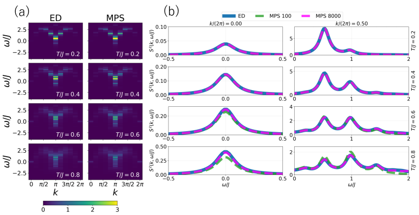 Для модели Гейзенберга с <span class="katex-eq" data-katex-display="false">S=1</span> и <span class="katex-eq" data-katex-display="false">N=10</span>, при температурах <span class="katex-eq" data-katex-display="false">T/J = 0.2, 0.4, 0.6, 0.8</span>, наблюдается изменение динамической структуры (DSF), представленное на контурных картах (a) и разрезах при фиксированных волновых числах <span class="katex-eq" data-katex-display="false">k/2\pi = 0</span> и 0.5 (b), при сравнении результатов, полученных с использованием 100 и 8000 состояний.
