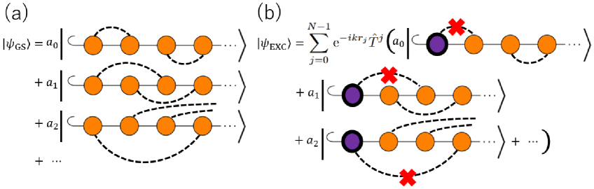 Схема показывает, что в основной состоянии цепочки Гейзенберга, описываемом теорией жидкости Латтингера (<span class="katex-eq" data-katex-display="false">TLL</span>), конфигурации синглетных пар образуют квантовую суперпозицию, а добавление одномодового возбуждения разрывает одну синглетную связь, высвобождая два неспаренных спина, которые, благодаря суперпозиционному характеру основного состояния, формируют двухспинонное возбуждение, не требующее дополнительной энергии при отсутствии межцепочечного взаимодействия.