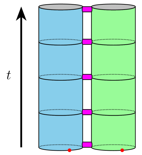 Distinct one-dimensional universes, differentiated by inherent characteristics, are unified through the exchange of traversable wormholes, resulting in a propagating two-dimensional construct evolving with time-a process facilitated by designated reference points within each original universe, as detailed in prior work [8, 3].