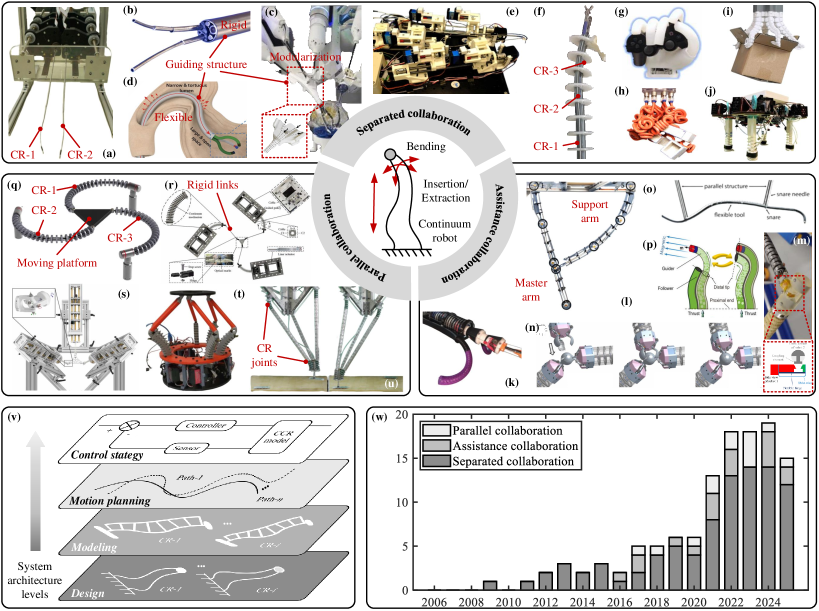 Continuous curvature robots (CCRs) exhibit diverse designs-including concentric tubes, rigid/flexible guiding structures, and various actuation/connection methods-and are increasingly applied in legged robots and complex systems, as evidenced by growing research interest.