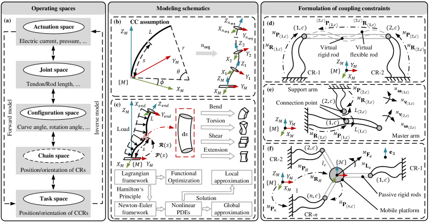 This work explores coupling modeling strategies for collaborative continuum robotics, utilizing operating spaces, a Probabilistic Coupling Component (PCC) model, Cosserat rod theory, and constraint formulations tailored to separated, assistance, and parallel collaboration modes.