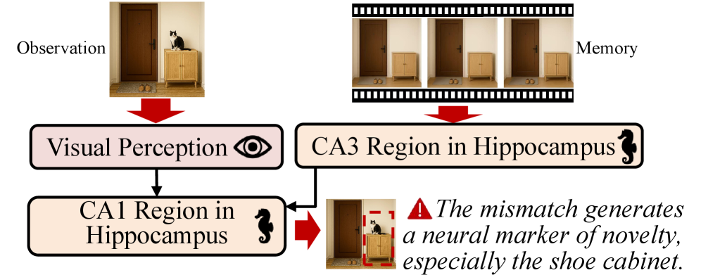 В гиппокампе функционируют два механизма, обеспечивающих обработку информации и формирование воспоминаний, взаимодействуя для оптимизации когнитивных процессов.