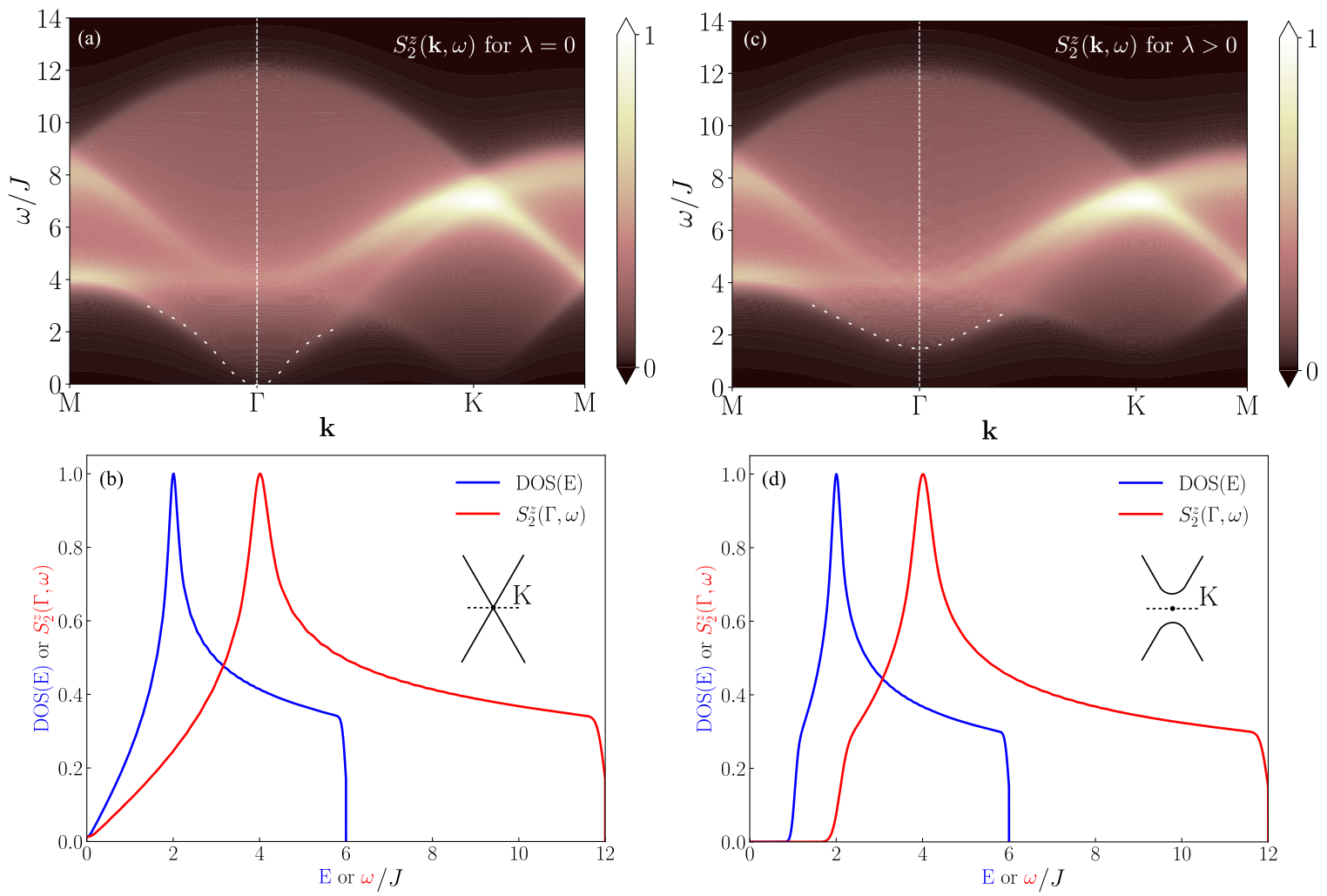 The dynamical spin structure factor <span class="katex-eq" data-katex-display="false">S_2(\mathbf{k},\omega)</span> of the isotropic Kitaev model reveals a gapless spectrum at the Γ point in the time-reversal symmetric phase (<span class="katex-eq" data-katex-display="false">\lambda = 0</span>), which transforms into a gapped spectrum with broken time-reversal symmetry (<span class="katex-eq" data-katex-display="false">\lambda > 0</span>), demonstrating a direct correspondence between the Majorana fermion density of states and the dimer spectral function up to an energy scaling factor.