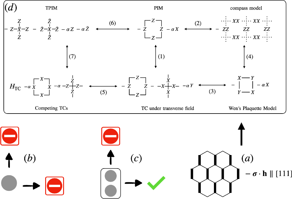 Weak magnetic fields applied to Kitaev’s Abelian quantum spin liquid (or toric code) reveal constrained quasiparticle dynamics-a single particle remains immobile while composites move in one dimension-and demonstrate that this anisotropic honeycomb model is equivalent to a family of models related by duality transformations and unitary rotations.