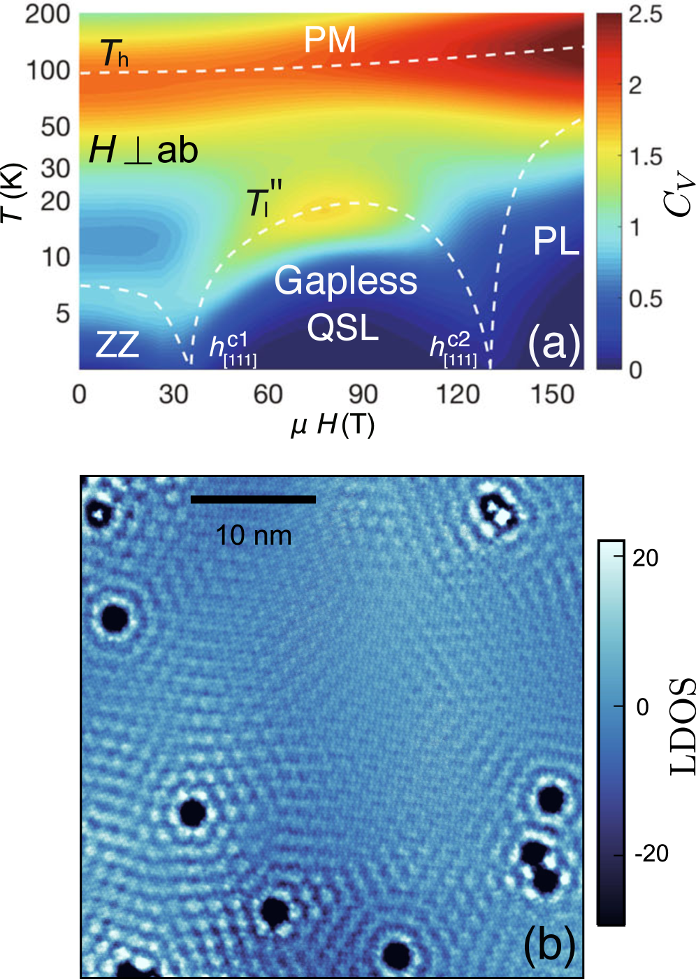 The extended ferromagnetic Kitaev model exhibits a temperature-dependent specific heat influenced by applied magnetic fields, with phase boundaries discernible through simulation, while in monolayer [latex] \alpha-\alpha-RuCl_3 [/latex], the spatial decay of local density of states suggests the presence of gapless Majorana fermions manifesting as spinon Friedel oscillations.