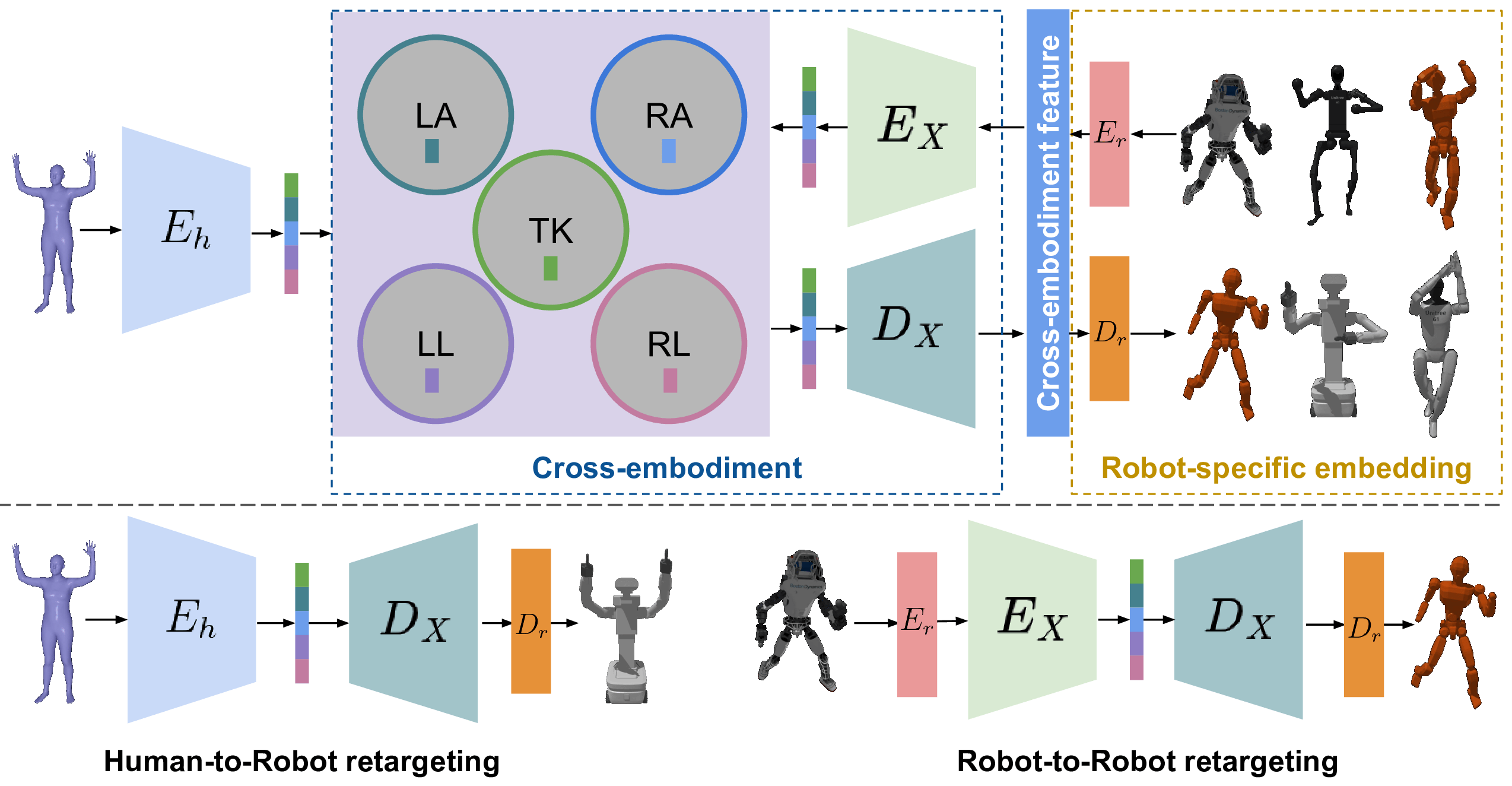 The architecture learns a unified latent representation of motion by decoupling a shared latent space into five body-segment subspaces - left arm, right arm, trunk, left leg, and right leg - and employing robot-specific embedding layers [latex]E_r[/latex] to project varying pose dimensionalities into a common feature space, subsequently reconstructed via inverse mappings [latex]D_r[/latex], thereby enabling cross-embodiment motion modeling across humans and diverse robotic platforms.
