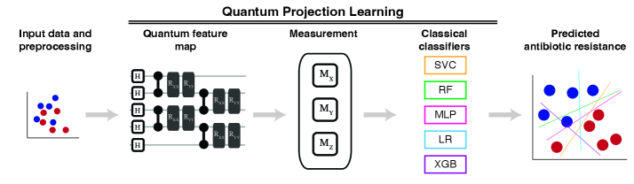 Antibiotic resistance prediction benefits from a quantum-enhanced workflow wherein classically preprocessed data-subject to normalization, dimensionality reduction, and feature selection-undergoes quantum projection before being analyzed by a suite of classical machine learning classifiers-including support vector classifiers, random forests, multilayer perceptrons, logistic regression, and extreme gradient boosting-to discern resistance patterns from measurements taken across X, Y, and Z bases.