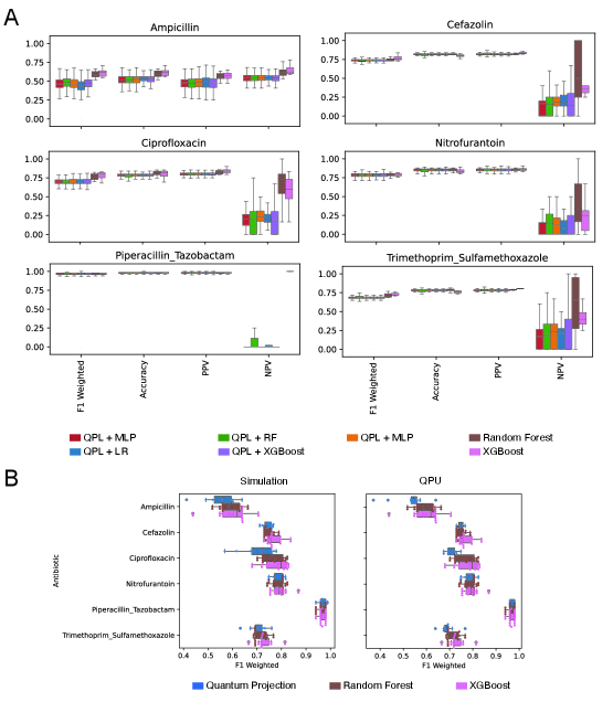 Quantum machine learning (QML) models consistently outperformed classical baselines in predicting antibiotic resistance across multiple metrics and data splits, with the best QML configuration achieving maximum median weighted F1 scores on both simulated and quantum processing unit (QPU) hardware.