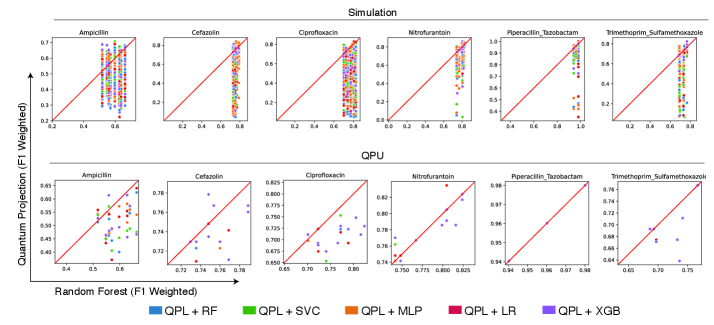 Quantum polynomial learning (QPL) consistently outperforms random forest (RF) across antibiotic datasets, as demonstrated by higher weighted F1 scores on both simulator (top) and quantum processing unit (QPU) implementations (bottom).