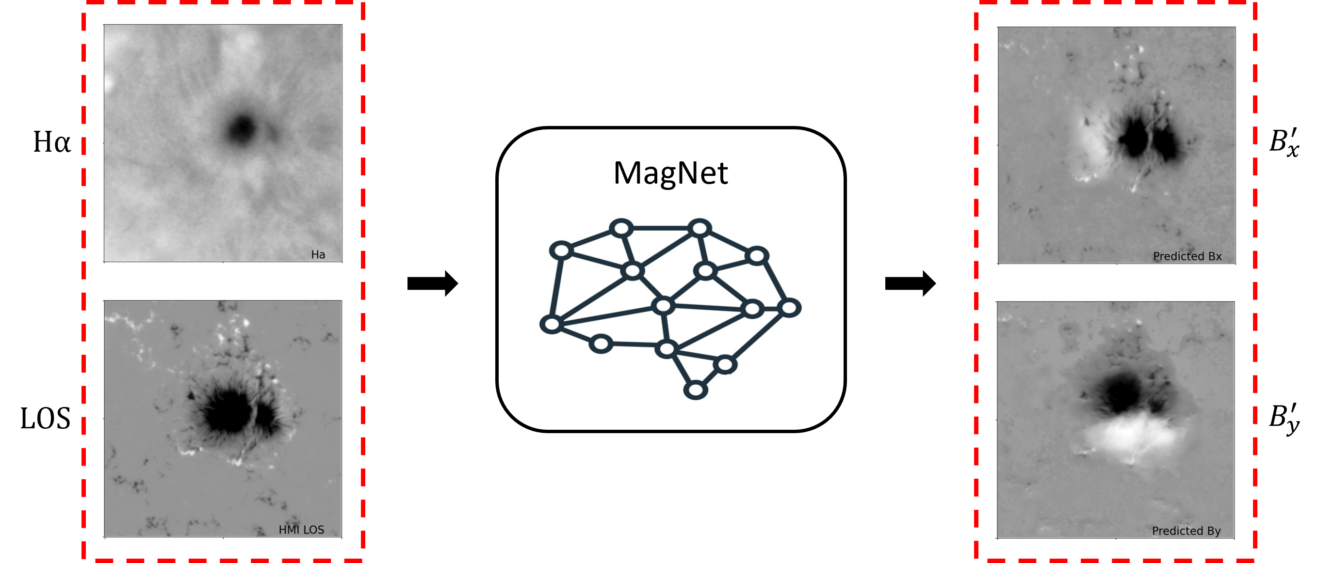 Рабочий процесс MagNet использует в качестве входных данных эмиссию альфа-водорода <span class="katex-eq" data-katex-display="false">H\alpha</span> и продольную составляющую магнитного поля (LOS), генерируя на их основе поля <span class="katex-eq" data-katex-display="false">B’x</span> и <span class="katex-eq" data-katex-display="false">B’y</span>.