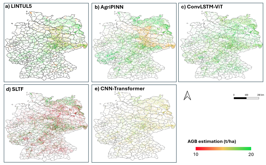 In 2016, AgriPINN accurately estimated winter-wheat aboveground biomass (≈10-20 t/ha at 250m resolution) across Germany, capturing regional gradients similar to the LINTUL5 process-based model while avoiding the smoothing typical of such models and the noise present in purely data-driven approaches like ConvLSTM-ViT, SLTF, and CNN-Transformer.