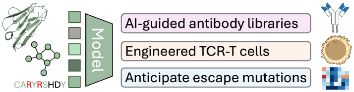 Использование генеративных и предиктивных моделей искусственного интеллекта открывает возможности для разработки терапевтических антител, конструирования Т-клеток, нацеленных на новообразования, и прогнозирования мутаций вирусов с целью совершенствования вакцин и методов лечения.