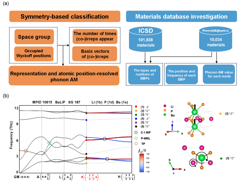Symmetry classification of materials-specifically analyzing the multiplicities of co-irreps and expressions for phonon angular momentum <span class="katex-eq" data-katex-display="false">\textbf{J}_{z}</span>-reveals qualitative and quantitative identification of emergent phonon polarization phenomena at high-symmetry points and along high-symmetry lines, as demonstrated by the case of BaLiP (MPID 10615, space group 187) where chiral and linearly polarized modes arise from distinct co-irreps and accidental Weyl points with non-trivial phonon angular momentum values emerge along specific paths like K−-H.