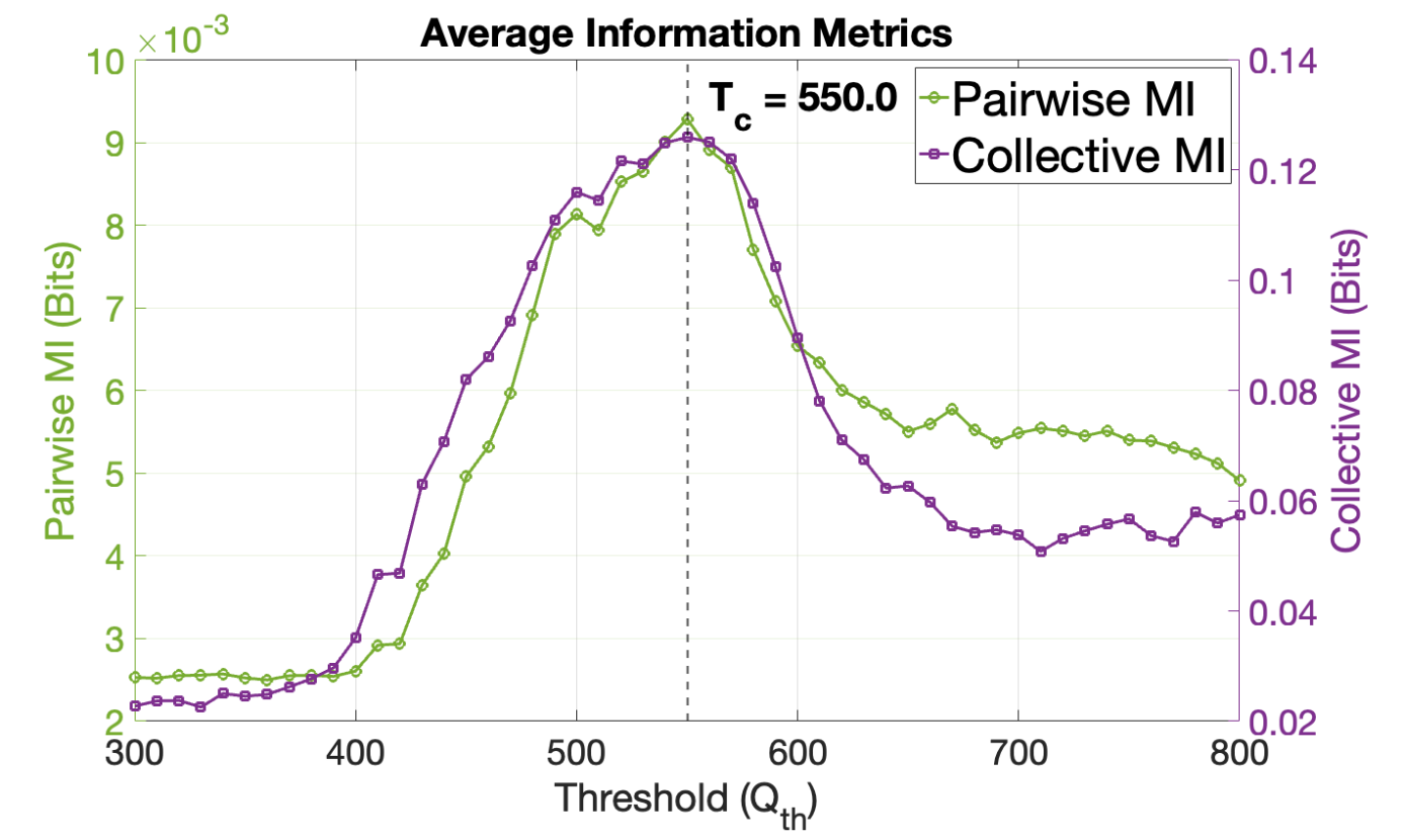 The network exhibits both pairwise and collective mutual information, consistent with the simulation parameters used in Figure 2.