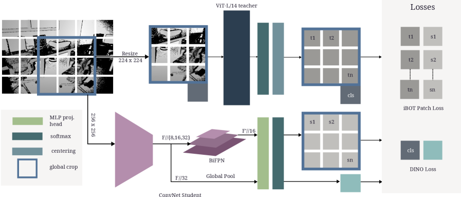 Архитектура дистилляции DeFM-L/14 включает в себя добавление BiFPN модуля к CNN энкодеру для получения плотных пространственных признаков, контролируемых пространственными токенами учителя, и использование токена класса учителя для глобального контроля над объединенным представлением признаков CNN.