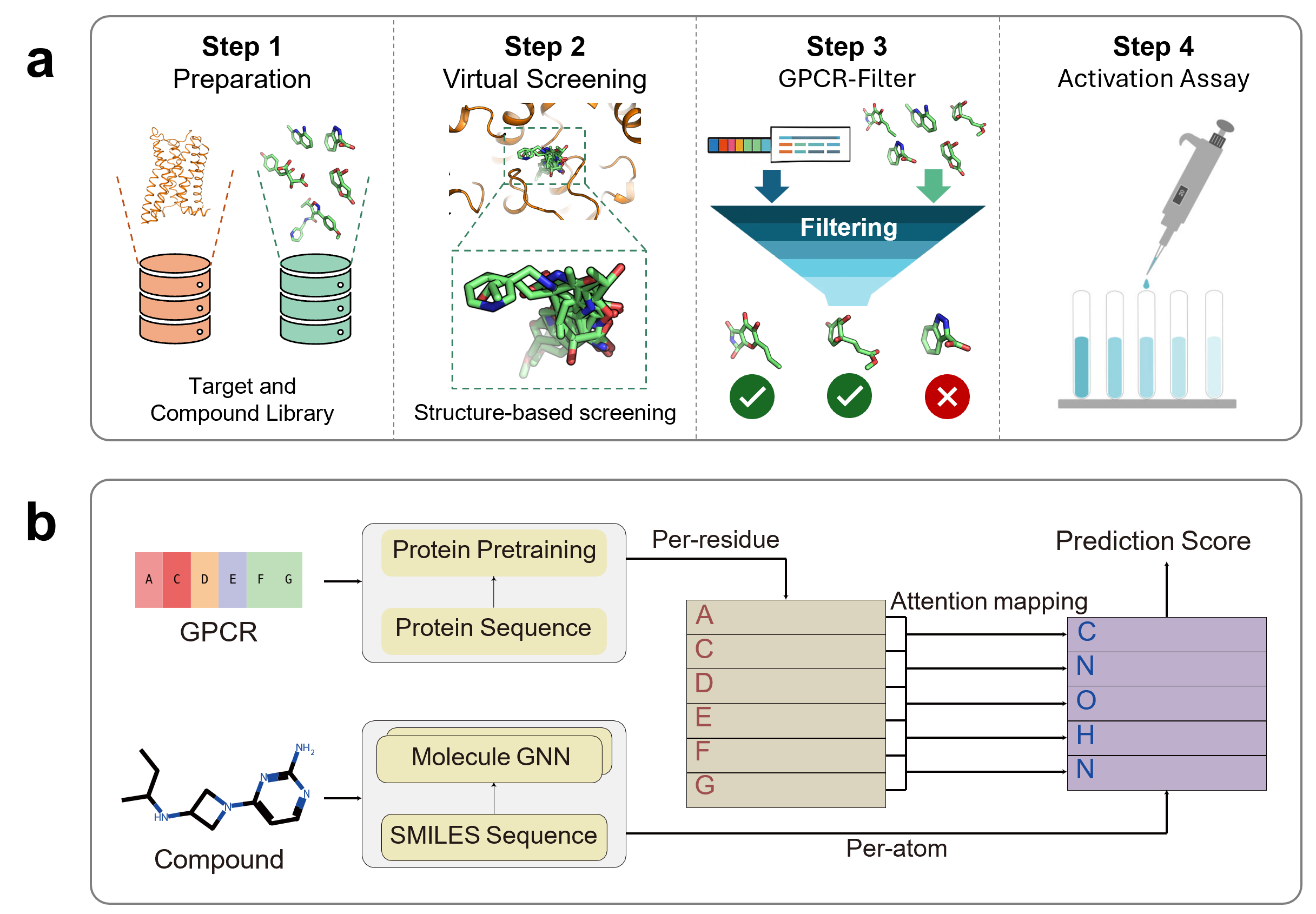 Разработанный фильтр GPCR-Filter интегрируется в процесс открытия модуляторов GPCR, используя исключительно последовательности GPCR для уточнения результатов докинга после начального структурно-ориентированного виртуального скрининга, при этом последовательности GPCR преобразуются в представления на уровне остатков с помощью предварительно обученной языковой модели белков, а SMILES лигандов кодируются в характеристики на уровне атомов посредством молекулярной графовой нейронной сети, объединяемых модулем перекрестного внимания для вычисления вероятности взаимодействия.