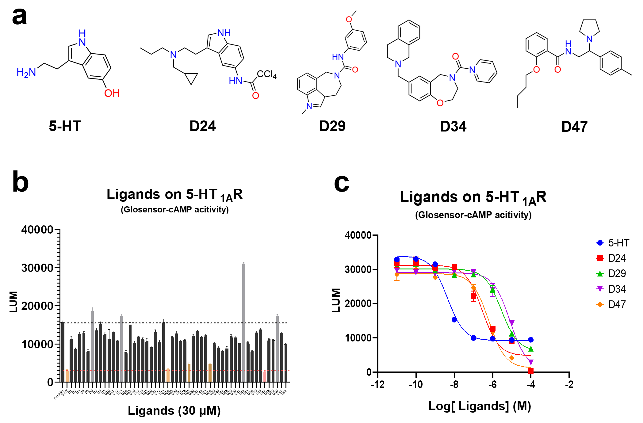 Экспериментальная валидация подтвердила, что фильтр GPCR успешно идентифицировал четыре агониста (<span class="katex-eq" data-katex-display="false">D24</span>, <span class="katex-eq" data-katex-display="false">D29</span>, <span class="katex-eq" data-katex-display="false">D34</span>, <span class="katex-eq" data-katex-display="false">D47</span>), активирующих рецептор <span class="katex-eq" data-katex-display="false">5-HT1A</span> дозозависимым образом, демонстрируя сравнимую или более высокую максимальную эффективность (<span class="katex-eq" data-katex-display="false">Emax</span>), но пониженную потенцию (<span class="katex-eq" data-katex-display="false">EC50</span>) по сравнению с каноническим агонистом 5-HT.