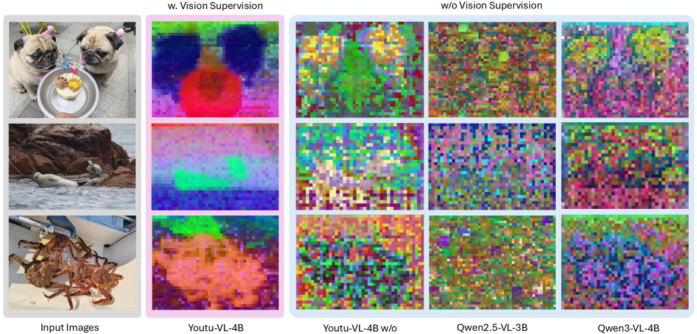 Визуализация главных компонент скрытых состояний vision tokens демонстрирует, что использование supervision на основе vision tokens позволяет нашей модели <span class="katex-eq" data-katex-display="false">Youtu-VL-4B</span> достичь значительно лучшего разделения признаков и качества визуализации по сравнению с моделями <span class="katex-eq" data-katex-display="false">Qwen2.5-VL-3B-Instruct</span> и <span class="katex-eq" data-katex-display="false">Qwen3-VL-4B-Instruct</span>, а также с той же моделью без vision token supervision.