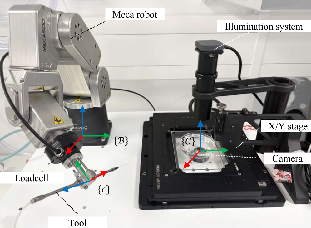 A robotic micromanipulation system integrates precision macro-guidance with automated visual servoing, employing a Meca500 arm and loadcell operating under an inverted microscope to achieve delicate, force-controlled interactions.