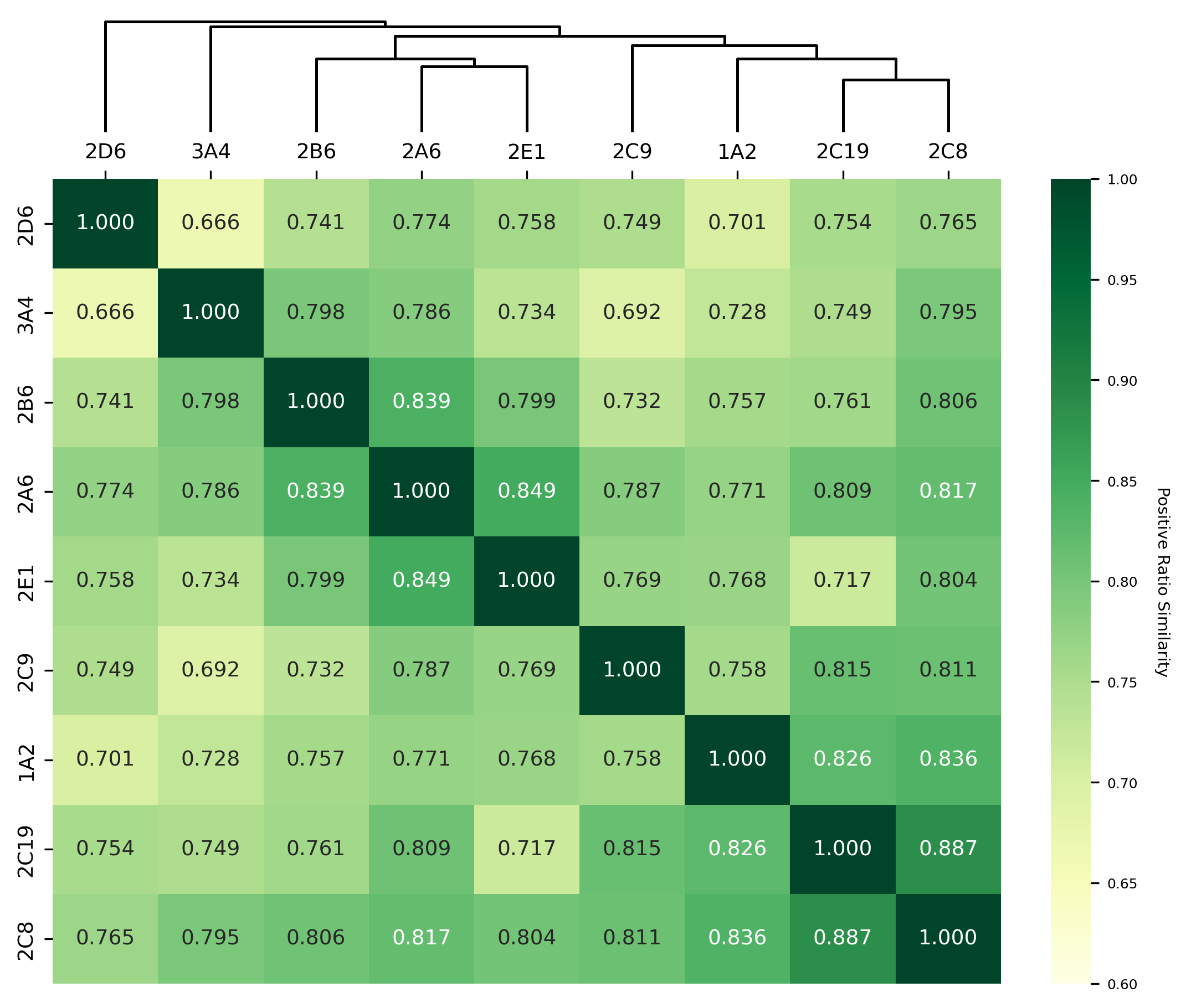 Heatmap displaying pairwise similarity scores of SOM patterns among nine CYP isoforms, with numerical values shown in each cell and a hierarchical clustering dendrogram above the matrix grouping isoforms based on similarity.